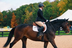 Horse and rider; credit: Valeriia Lukianova '26