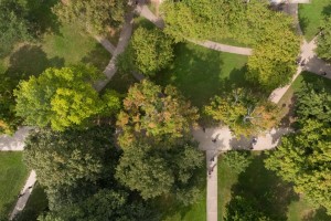 Aerial view of Middle Path