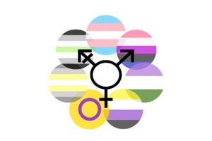 gender group logo