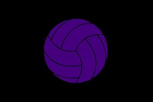 Purple volleyball