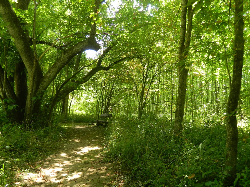 Brown Family Environmental Center Kenyon College