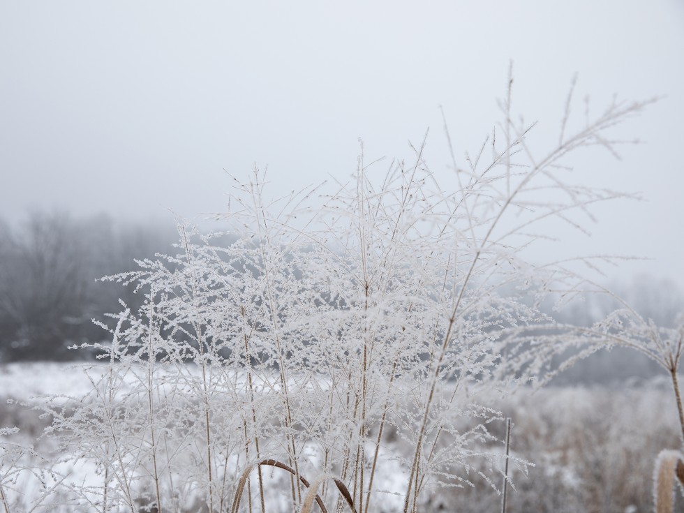 Brown Family Environmental Center Kenyon College