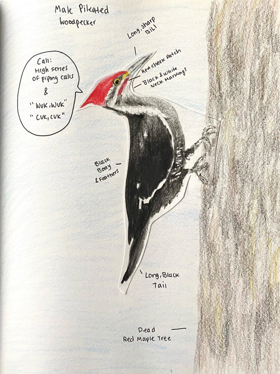 Environmental Studies Kenyon College