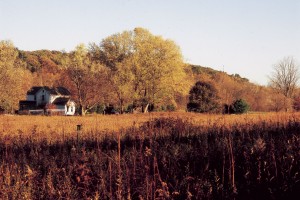 BFEC in the fall