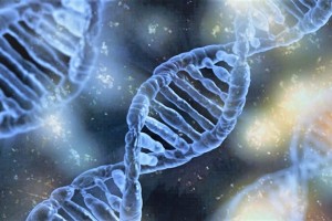 DNA imagery