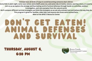 Event poster