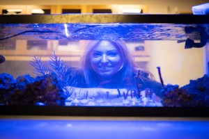 octocoral morphology