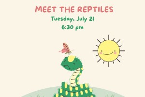 Event poster