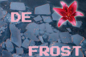 De-Frost exhibition poster