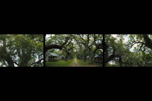 Dawoud Bey (b. 1953), Evergreen, 2021, 3-channel video with sound, duration: 10 minutes, 59 seconds. Art Bridges. © Dawoud Bey, Courtesy: Sean Kelly, New York.