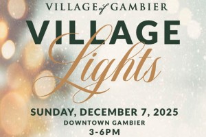 Village Lights poster