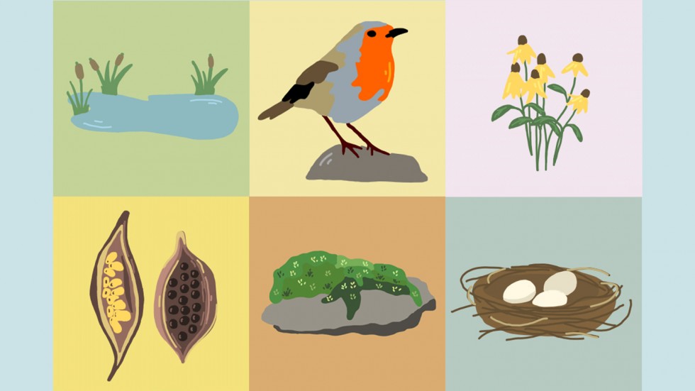 When is earth day 2020 picture