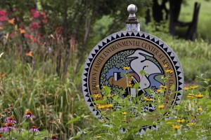 BFEC logo sign amid flowers