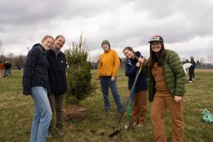 Students plant a tree