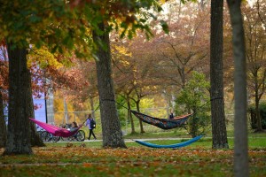 Hammocks on campus