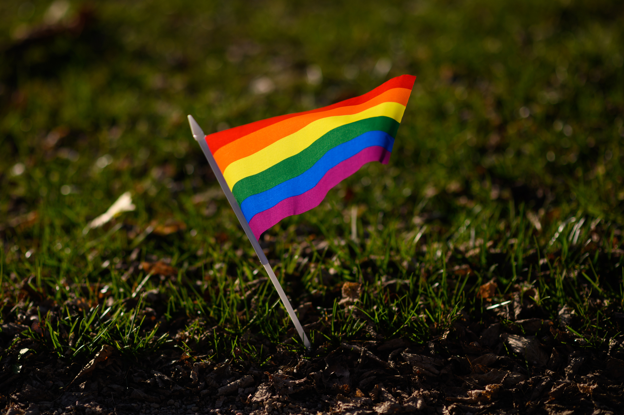 Fall Pride Kenyon College