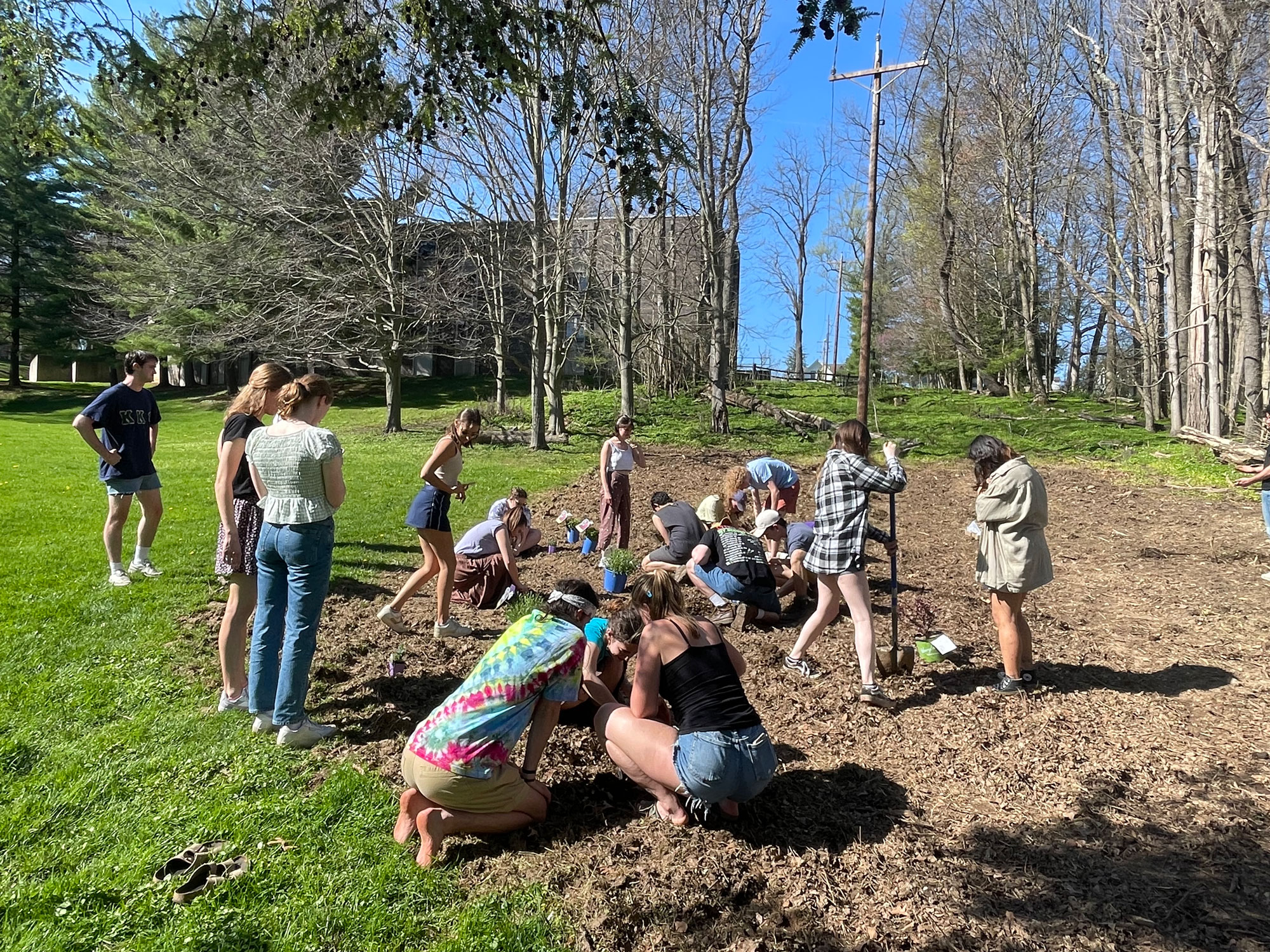 Students gathered Monday to plant a pollinator garden behind Gund Commons. Photo courtesy of Isabel Braun ’26.