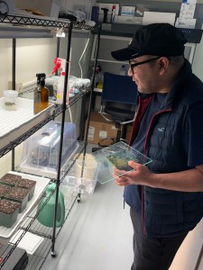 Kamesh Regmi in his Higley Hall lab.