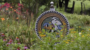 BFEC logo sign amid flowers