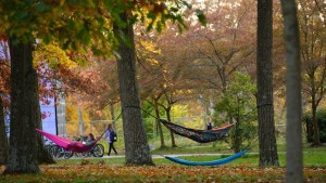 Hammocks on campus