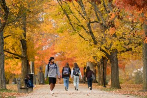 Vibrant fall foliage at Kenyon College campus during visit season