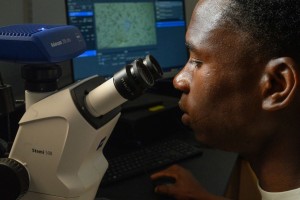 Student looking at a microscope