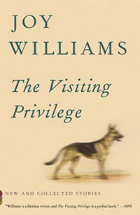 the visiting privilege