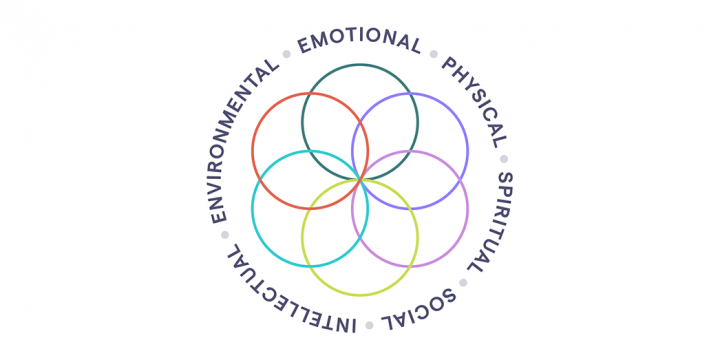 Six interlocking rings surrounded by the words emotional, physical, spiritual, social, intellectual, and environmental
