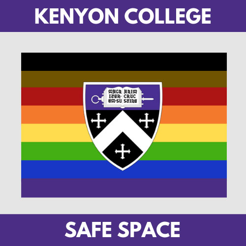 Safe Space logo